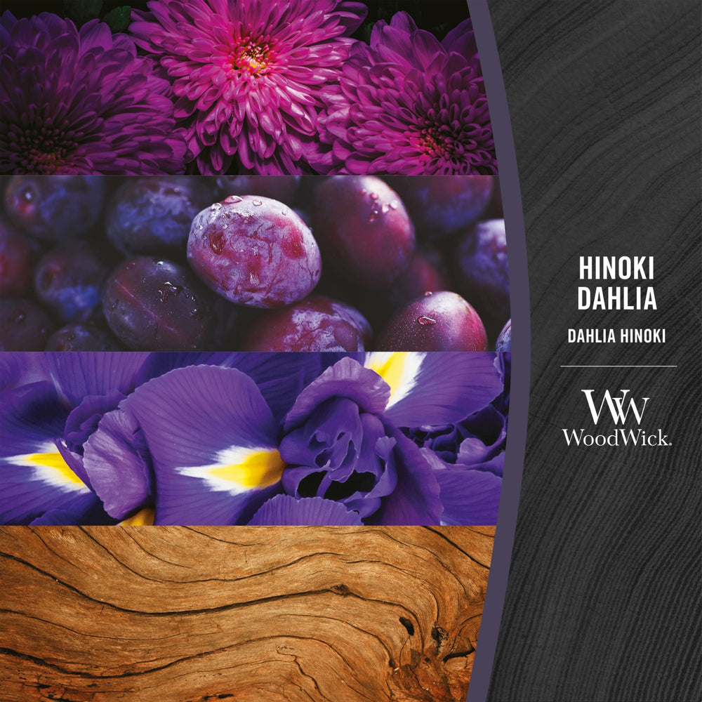Candela Clessidra Media “Hinoki Dahlia” – WoodWick