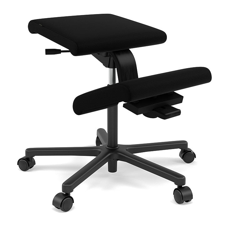 Wing Balans Ergonomic Chair - Varier