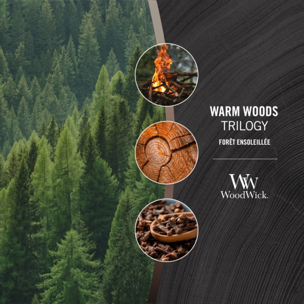 Candela Clessidra Large Trilogy “Warm Woods” – WoodWick
