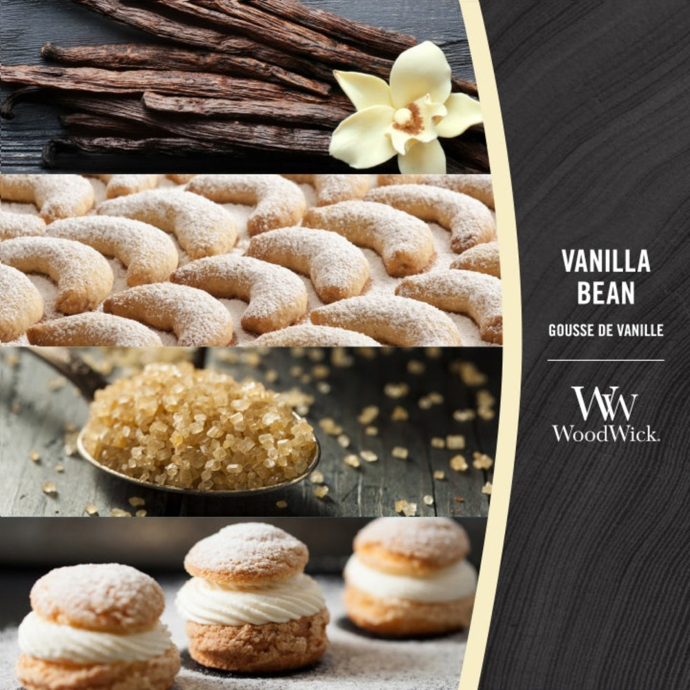 Candela Ellipse Hearthwick® Flame Vanilla Bean – WoodWick