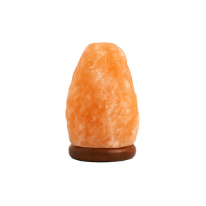 Lampada di Sale dell'Himalaya - Vacchetti