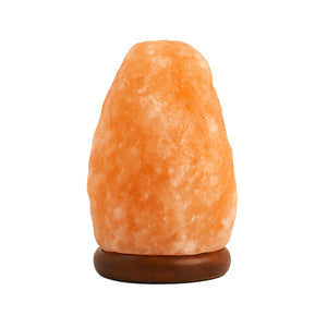 Lampada di Sale dell'Himalaya - Vacchetti