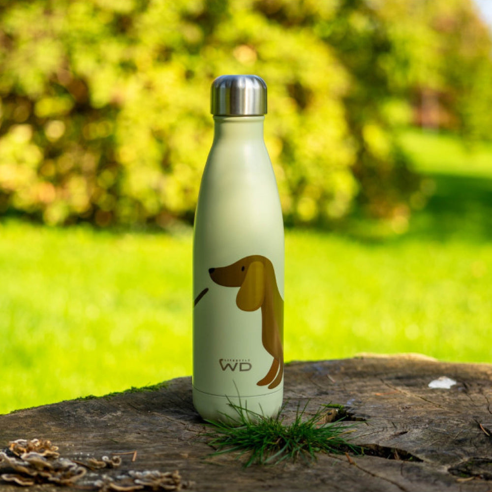 Bottiglia Termina in Acciaio Inox 500ML - WD