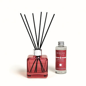 Bouquet Anti-Odori con Bastoncini - Maison Berger