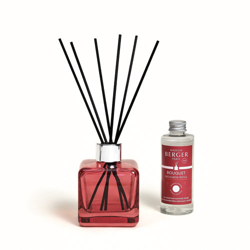 Bouquet Anti-Odori con Bastoncini - Maison Berger
