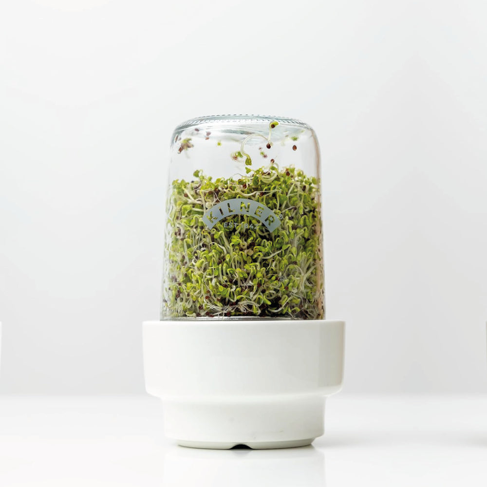 Barattolo per Germinazione in Vetro 0.5L - Kilner