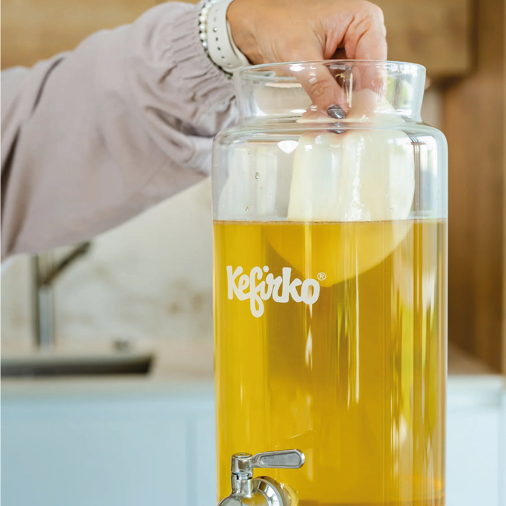 Set per Fermentazione Kombucha - Kefirko