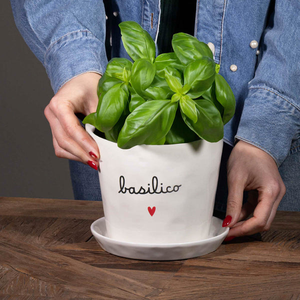 Vaso in Gres "Basilico" - Simple Day