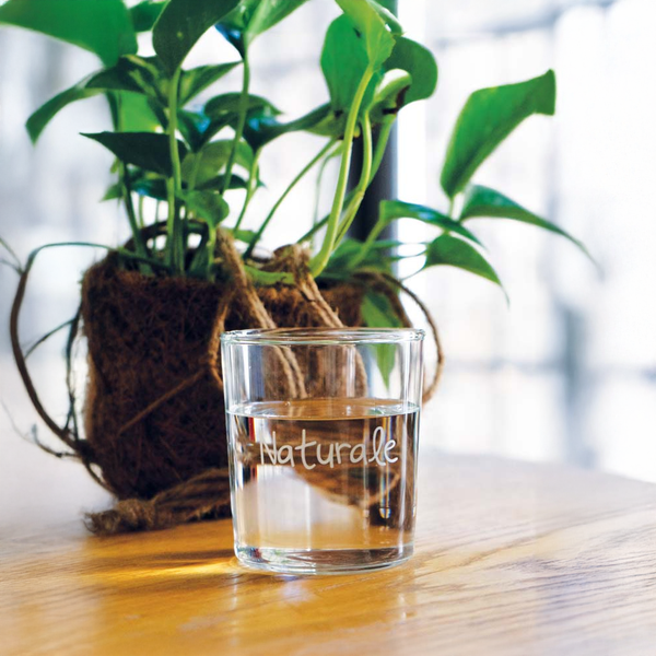 Set di 6 Bicchieri in Vetro Borosilcato con Scritta - WD Lifestyle